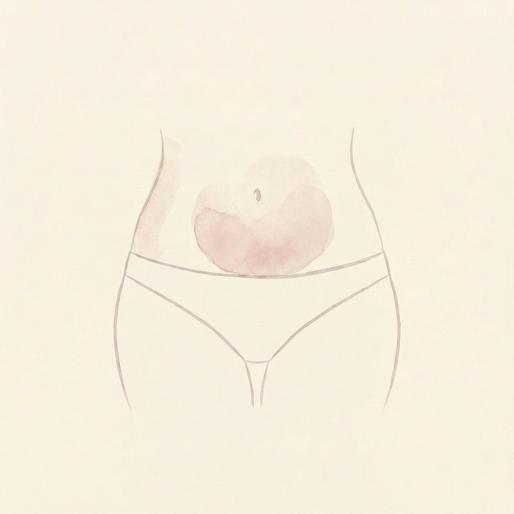Lower stomach fat illustration