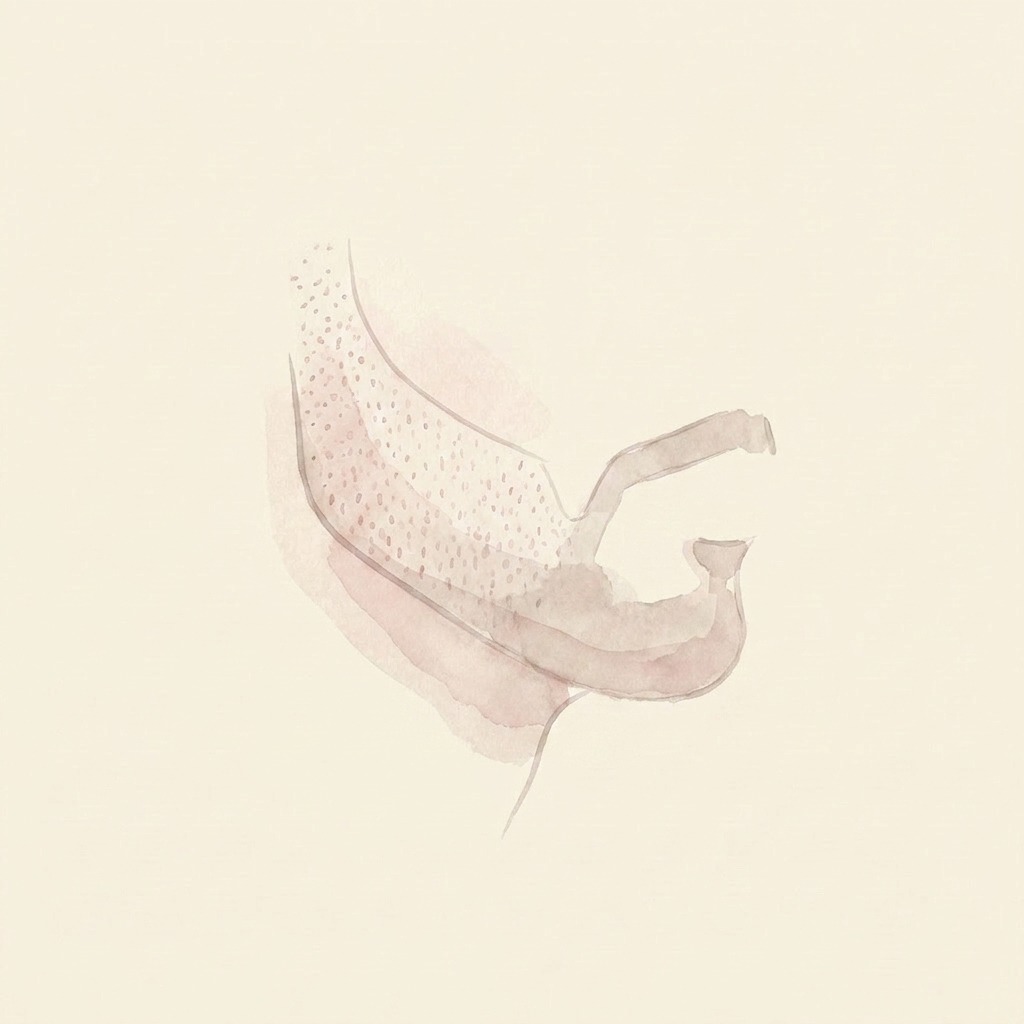 Beard line illustration