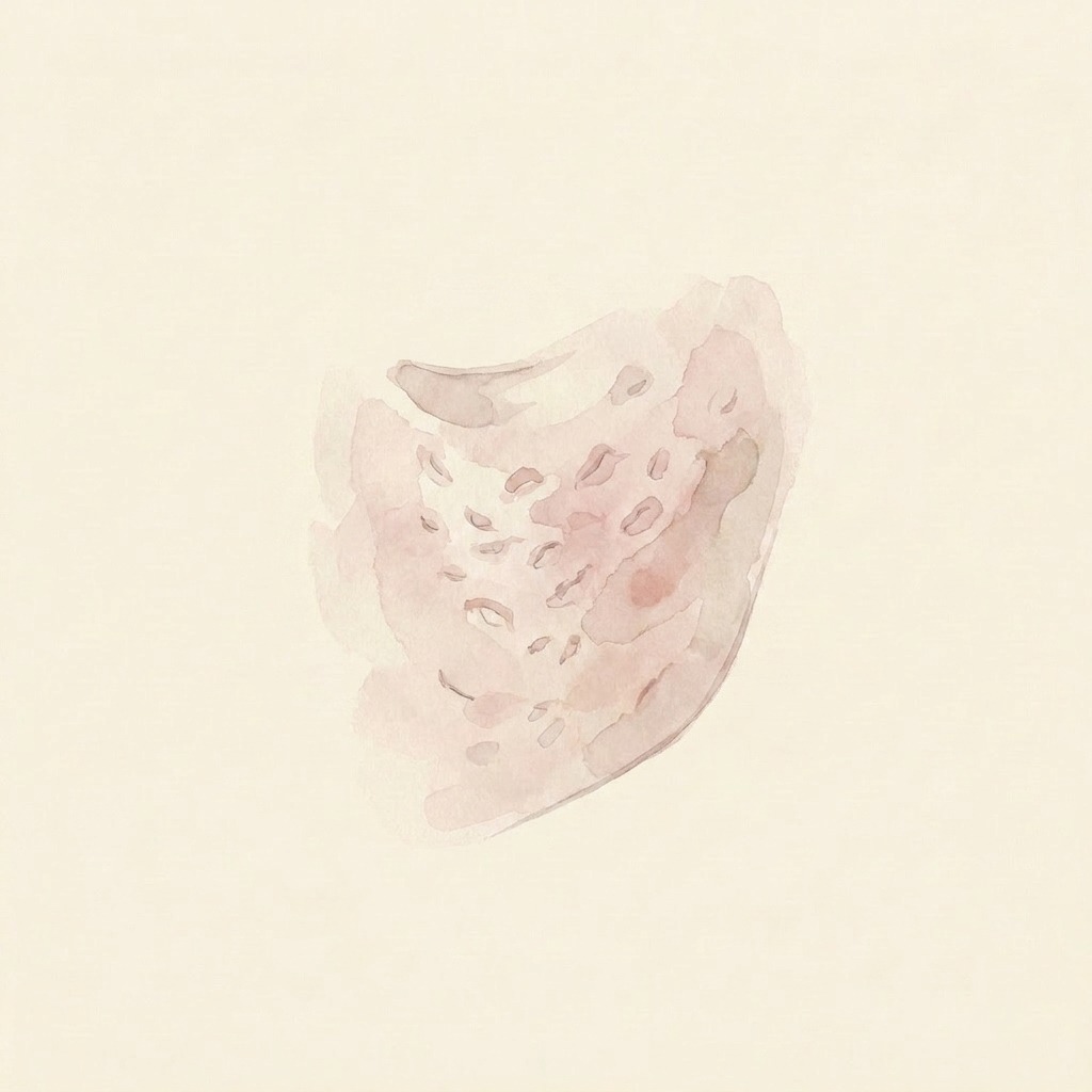 Acne scars illustration
